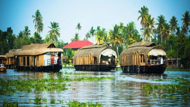 places to visit in alleppey in 1 day