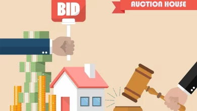 Bidding Strategies for Japanese Car Auctions